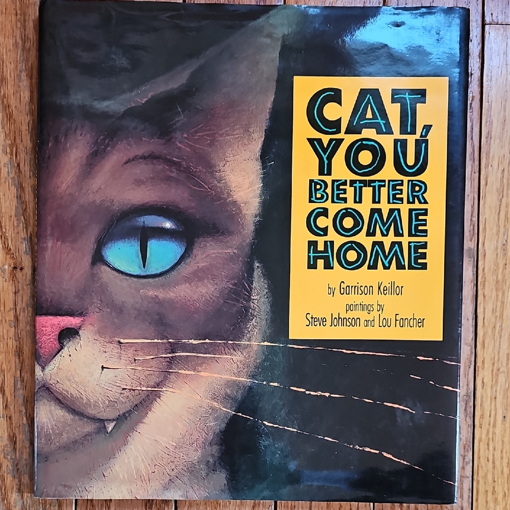 Cat, You Better Come Home Hardback Book